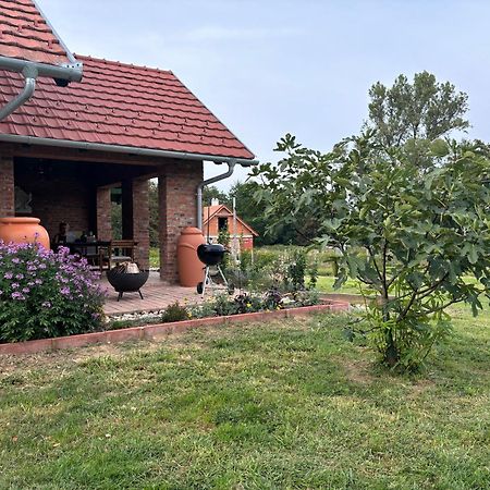 Kosbor Panzio Bed & Breakfast Magyarszombatfa Dış mekan fotoğraf