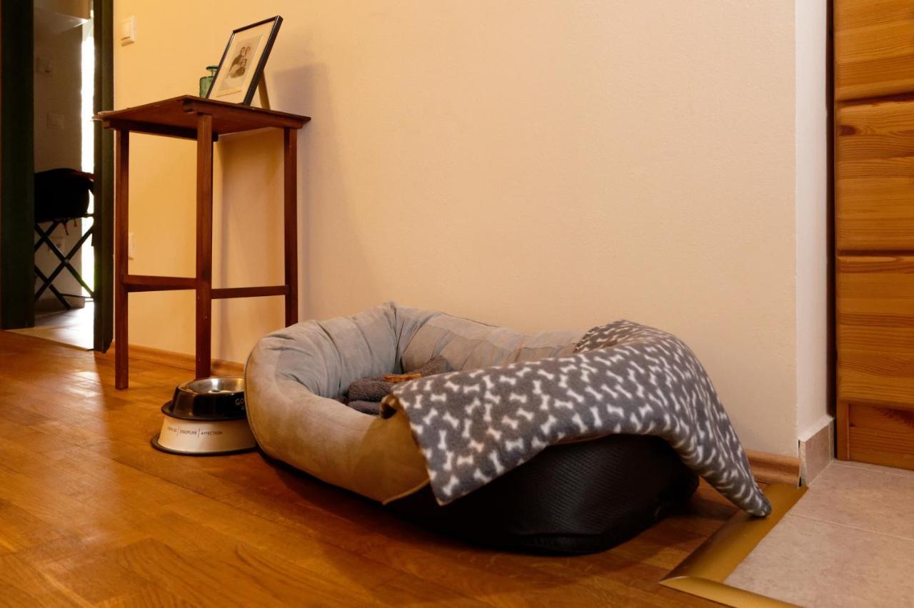 Kosbor Panzio Bed & Breakfast Magyarszombatfa Dış mekan fotoğraf