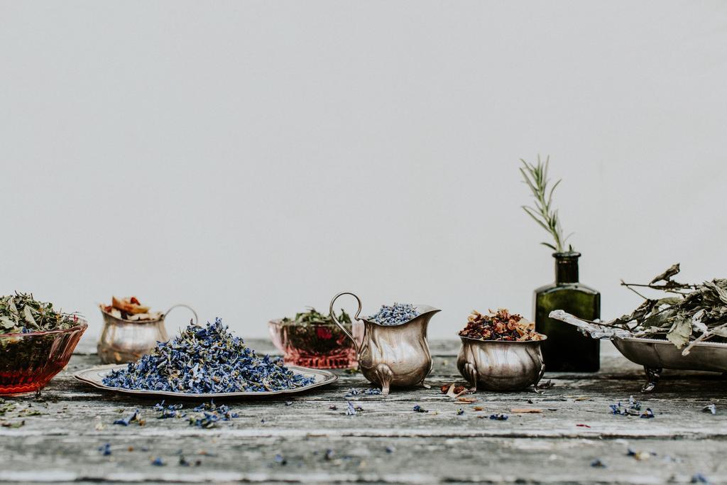 Kosbor Panzio Bed & Breakfast Magyarszombatfa Dış mekan fotoğraf