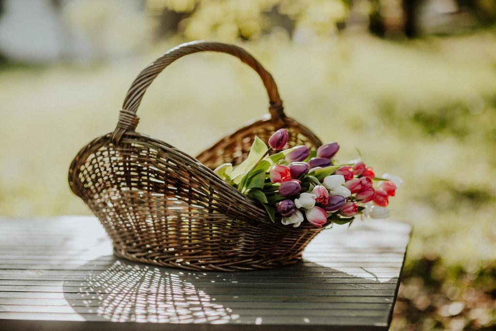Kosbor Panzio Bed & Breakfast Magyarszombatfa Dış mekan fotoğraf