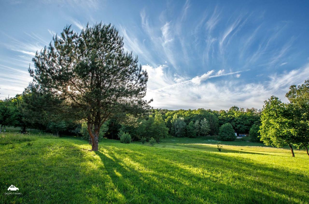 Kosbor Panzio Bed & Breakfast Magyarszombatfa Dış mekan fotoğraf